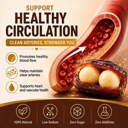 Premium Dates Stuffed with Macadamia Nuts-Supports Heart, Vascular & Blood Sugar Health-NEX